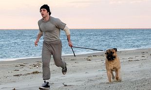 I Play Rocky